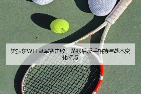 樊振东WTT冠军赛击败王楚钦后反手相持与战术变化特点（hth）
