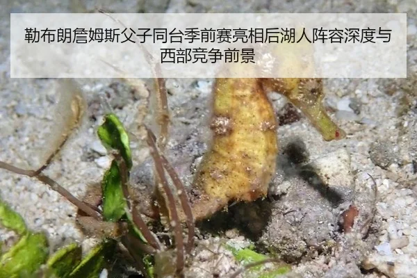lei-bu-lang-zhan-mu-si-fu-zi-tong-tai-ji-qian-sai-liang-xiang-hou-hu-ren-zhen-rong-shen-du-yu-xi-bu-jing-zheng-qian-jing-2-225.jpg